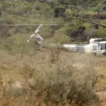 Kenya: Belgian Teens Among Four Charged in Kenya Over Trafficking of Rare Ants
